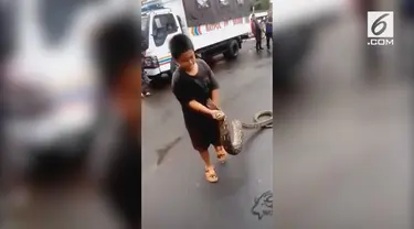 Sebuah video bocah asal Makassar menangkap ular piton dengan tangan kosong mendadak viral. Sang anak tidak tampak ketakutan sama sekali.