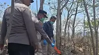 Lansia Tewas Terjebak Kebakaran Hutan Saat Cari Kayu Bakar