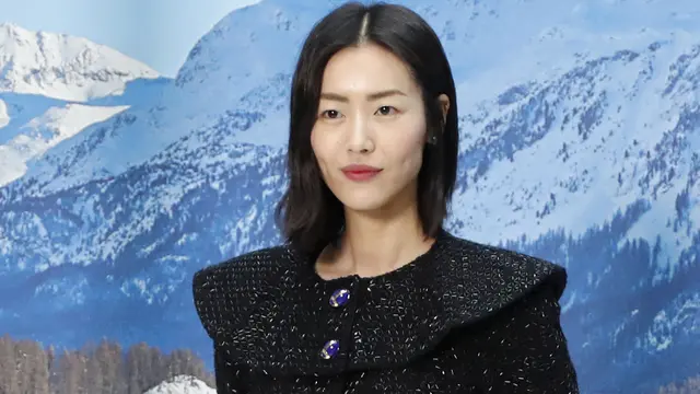 Liu Wen