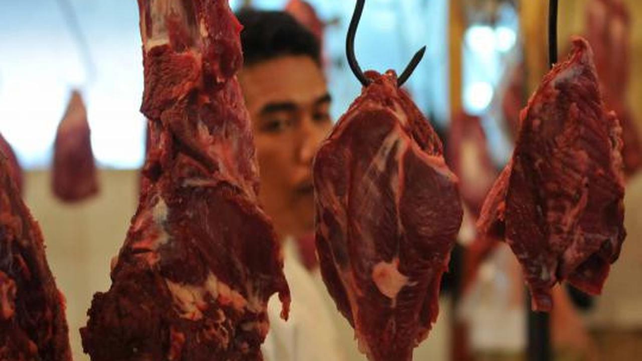 Harga daging sapi masih normal 