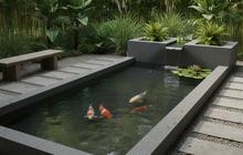 7 Desain Kolam Ikan yang Terlihat Aman Ini Justru Menarik Ular, Kenali untuk Minimalisir Risiko