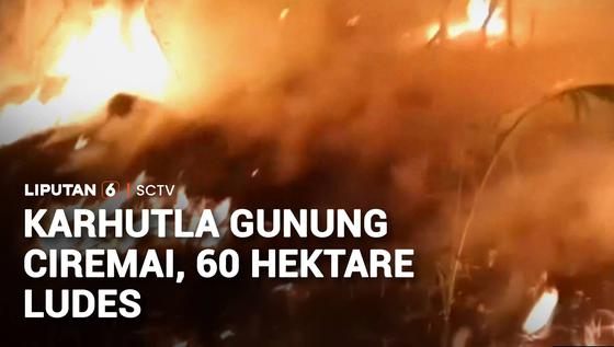 Kebakaran Gunung Ciremai Meluas, 60 Hektare Lahan Hangus
