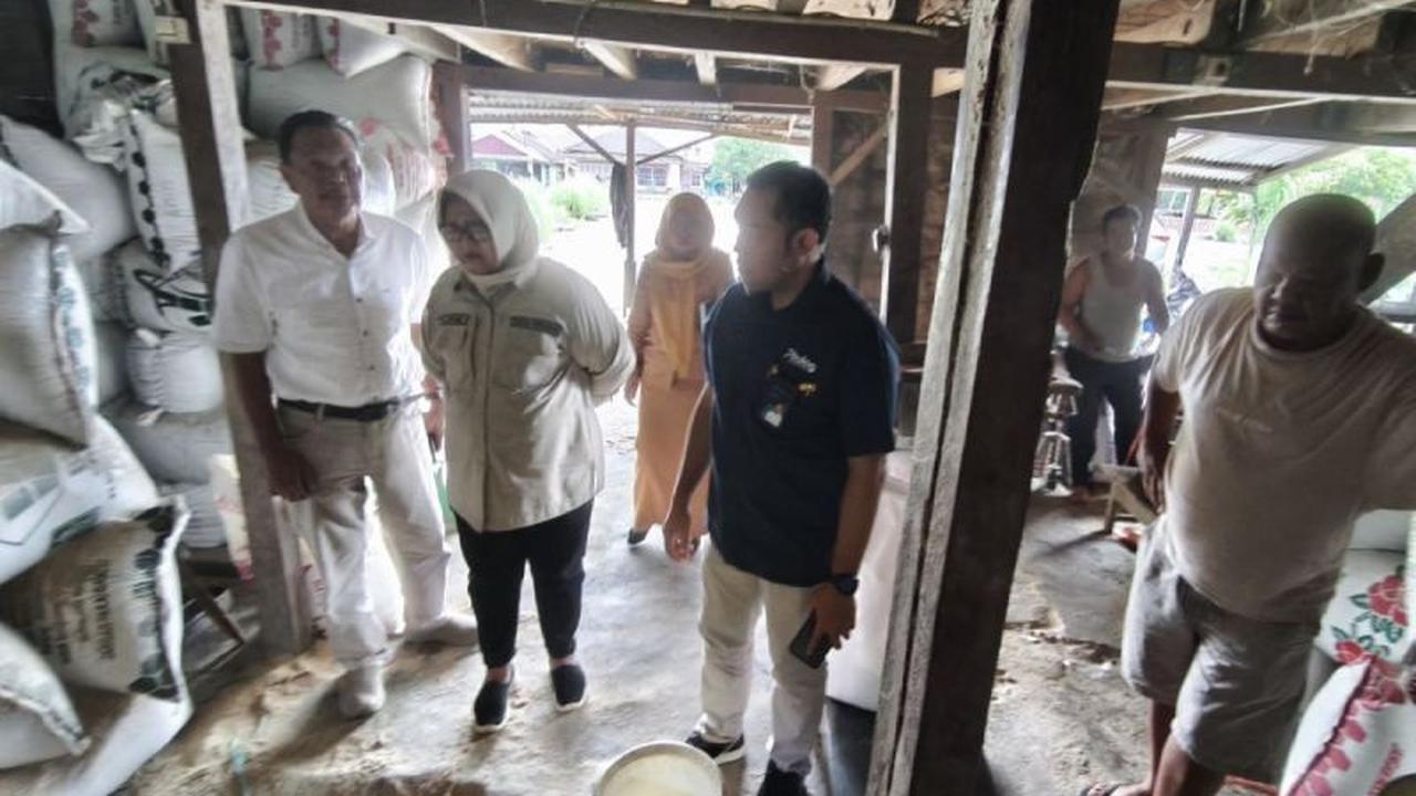 Penyerapan Gabah Bulog Lebong Optimistis Capai Target, Jaga Ketahanan Pangan Nasional