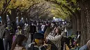 Orang-orang mengambil foto saat mereka berjalan melalui barisan pohon ginkgo saat pepohonan dan trotoar ditutupi dedaunan kuning cerah di sepanjang trotoar di Tokyo, Jepang pada 28 November 2020. (AP Photo/Kiichiro Sato)