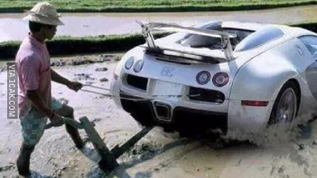 6 Potret Alih Fungsi Mobil untuk Pekerjaan di Sawah Ini Nyeleneh Banget