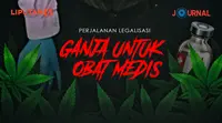 Perjalanan Legalisasi Ganja untuk Obat Medis (Liputan6.com/Abdillah)