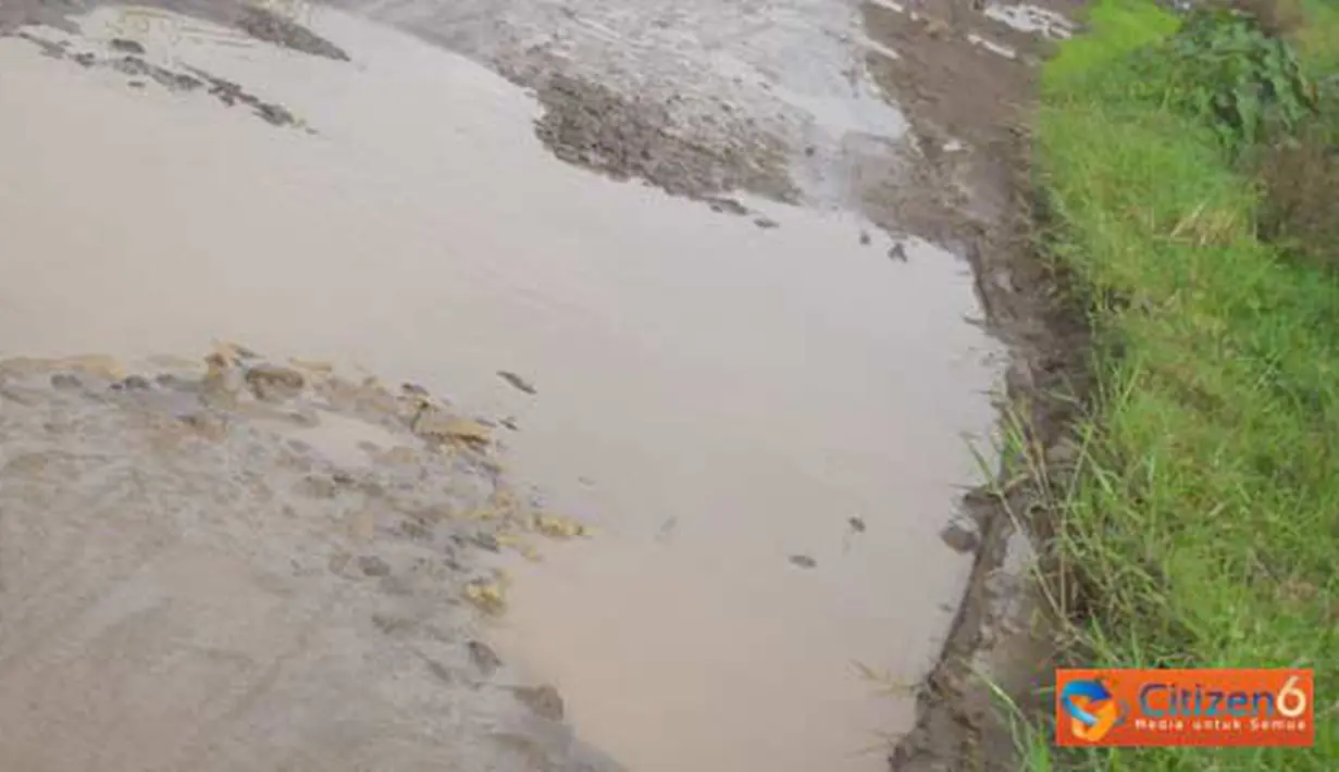 Citizen6, Semarang: Jalan Rowosari, penghubung Kelurahan Rowosari dan Desa Bayumeneng (Demak) rusak parah. (Pengirim: Muflihuen)