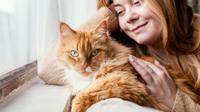 Cute and independent cat breeds that are perfect for people with a busy lifestyle. (Photo: Freepik)