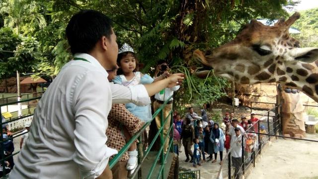 (Foto: Liputan6.com/Dian Kurniawan)