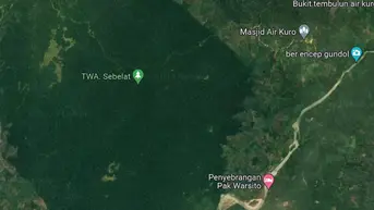 Melihat Bentang Seblat yang Kian Gawat, Habitat Terakhir Gajah Sumatra