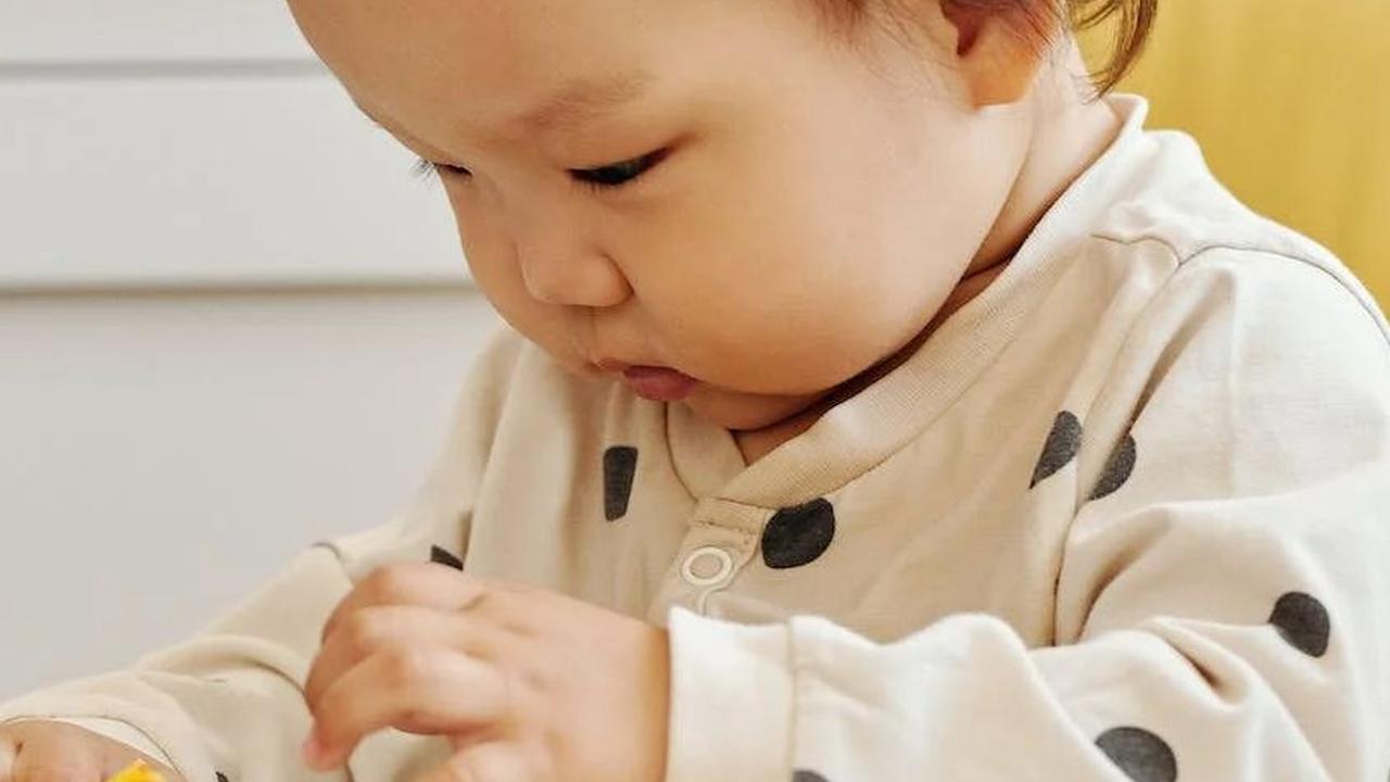 5 Resep Mpasi Olahan Hati Ayam, Lezat, Tinggi Kalori dan Bikin si Kecil Doyan