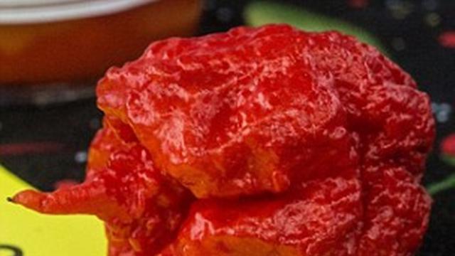 Ikut Tantangan Makan Cabai 2 Gadis Kesurupan Dan Nyaris Tewas