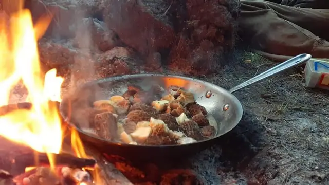 Jadi Pengembara Selama 4 Tahun, Wanita Ini Makan Hewan yang Mati di Jalan
