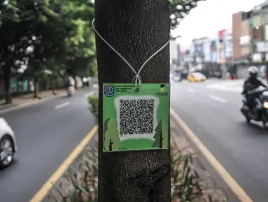 Pengendara motor melintasi pohon yang terpasang "QR code" di Jalan Ir H Juanda, Depok, Jawa Barat, Minggu (27/11/2022). Pemerintah Kota Depok memasang "QR code" pada 1.500 pohon perindang di Jalan Margonda Raya dan Jalan Ir H Juanda dengan total anggaran Rp49 juta untuk mengedukasi warga dengan informasi berupa nama pohon, nama ilmiah, umur maksimal, tinggi, lokasi, daya serap CO2 dan kode pohon untuk pendataan. (merdeka.com/Iqbal S. Nugroho)