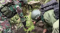 Penampakan Ladang Ganja di Pegunungan Bintang