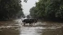 Sapi mengarungi jalan yang tergenang air setelah hujan monsun di Gurgaon di pinggiran New Delhi (19/8/2020). Hujan lebat melanda New Delhi pada 19 Agustus, membanjiri jalan dan menumpuk kesengsaraan bagi penumpang di ibu kota India yang kacau balau. (AFP/Xavier Galiana)