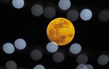 Ini Waktu Terbaik Melihat Cold Moon, Supermoon Terakhir di Tahun 2025