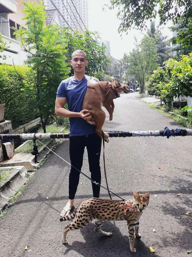 Artis Tanah Air Pelihara Kucing Harga Fantastis