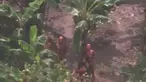 liputan6.com