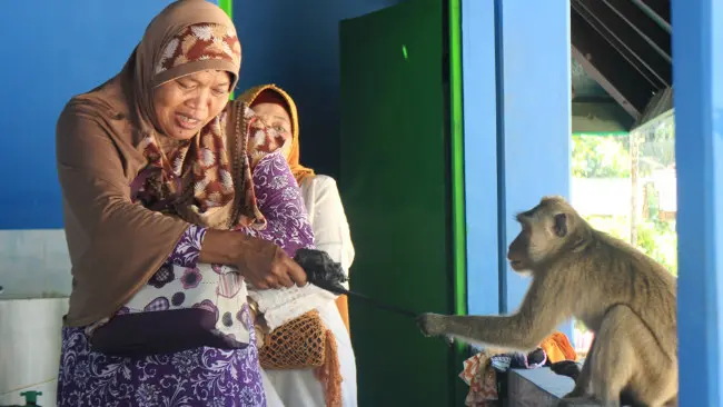 Ekspresi lucu emak-emak mempertahankan mati-matian tas kresek yang dijambret kera nakal. (/Muhamad Ridlo).