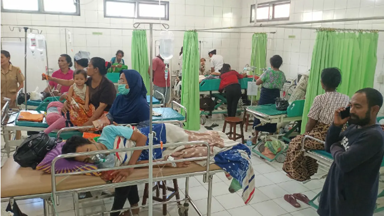 Kasus DBD di Sikka NTT Meningkat
