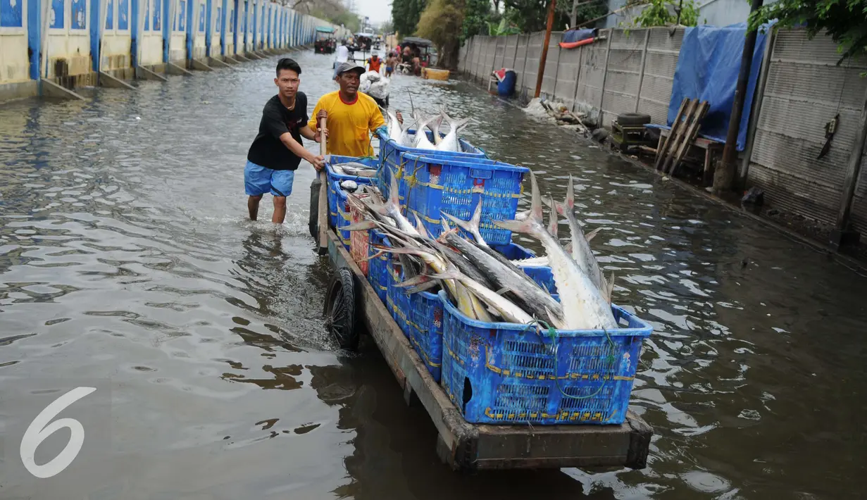 Sejumlah warga membawa ikan dengan gerobak melintasi banjir di Kawasan Muara Angke, Jakarta, Rabu (11/1). Banjir rob setiap laut pasang ini terjadi setelah tanggul laut jebol pada pertengahan tahun lalu. (Liputan6.com/Gempur M. Surya)