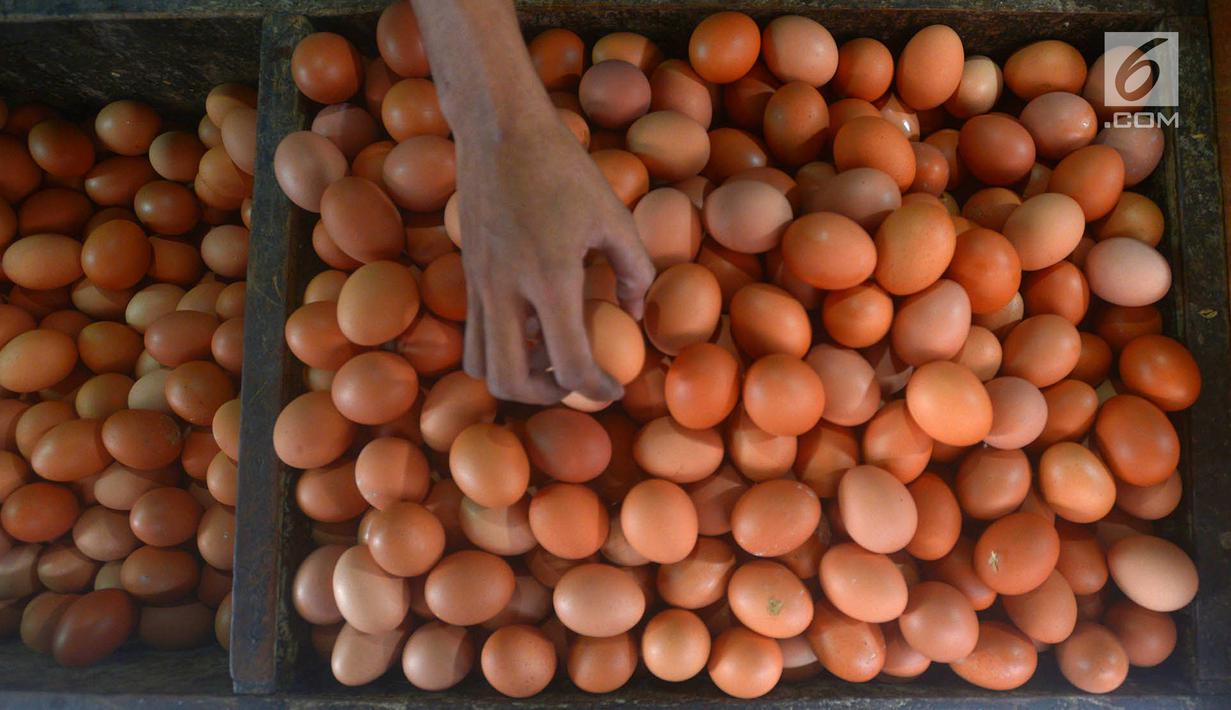  FOTO  Harga Telur  Ayam Mulai Merangkak Turun di Pasar 