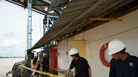 Selamatkan Pesut Mahakam dari Kepunahan, 2 Perusahaan Pengangkutan Batu Bara Dilarang Beroperasi