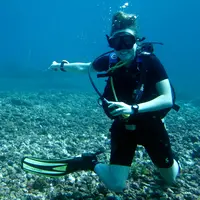 Kepulauan Komodo dengan 7 situs selam terbaik yang dimilikinya.