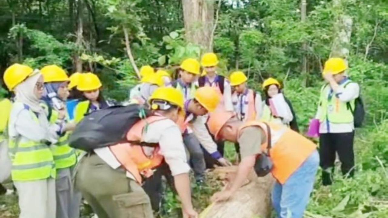 Mahasiswa Kehutanan ULM Perkuat Kompetensi Lapangan Lewat Praktik di PeFI Madiun