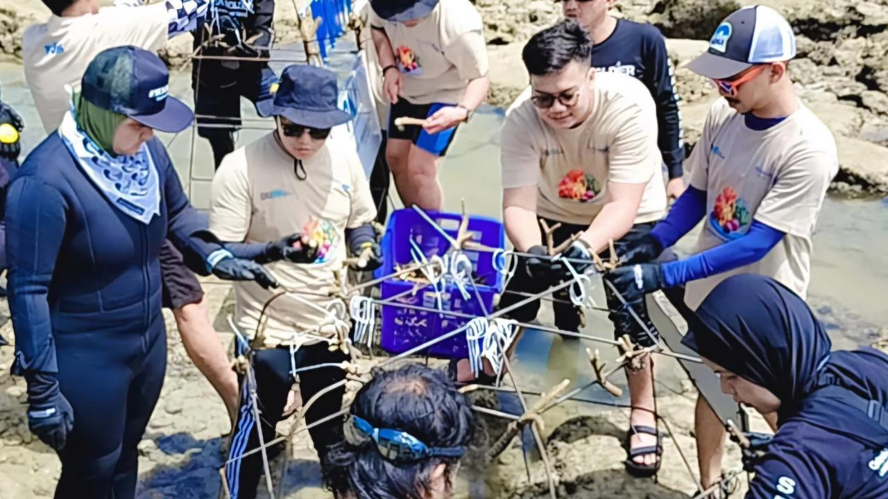PNM Peduli Tanam Ribuan Pohon Mangrove dan Terumbu Karang