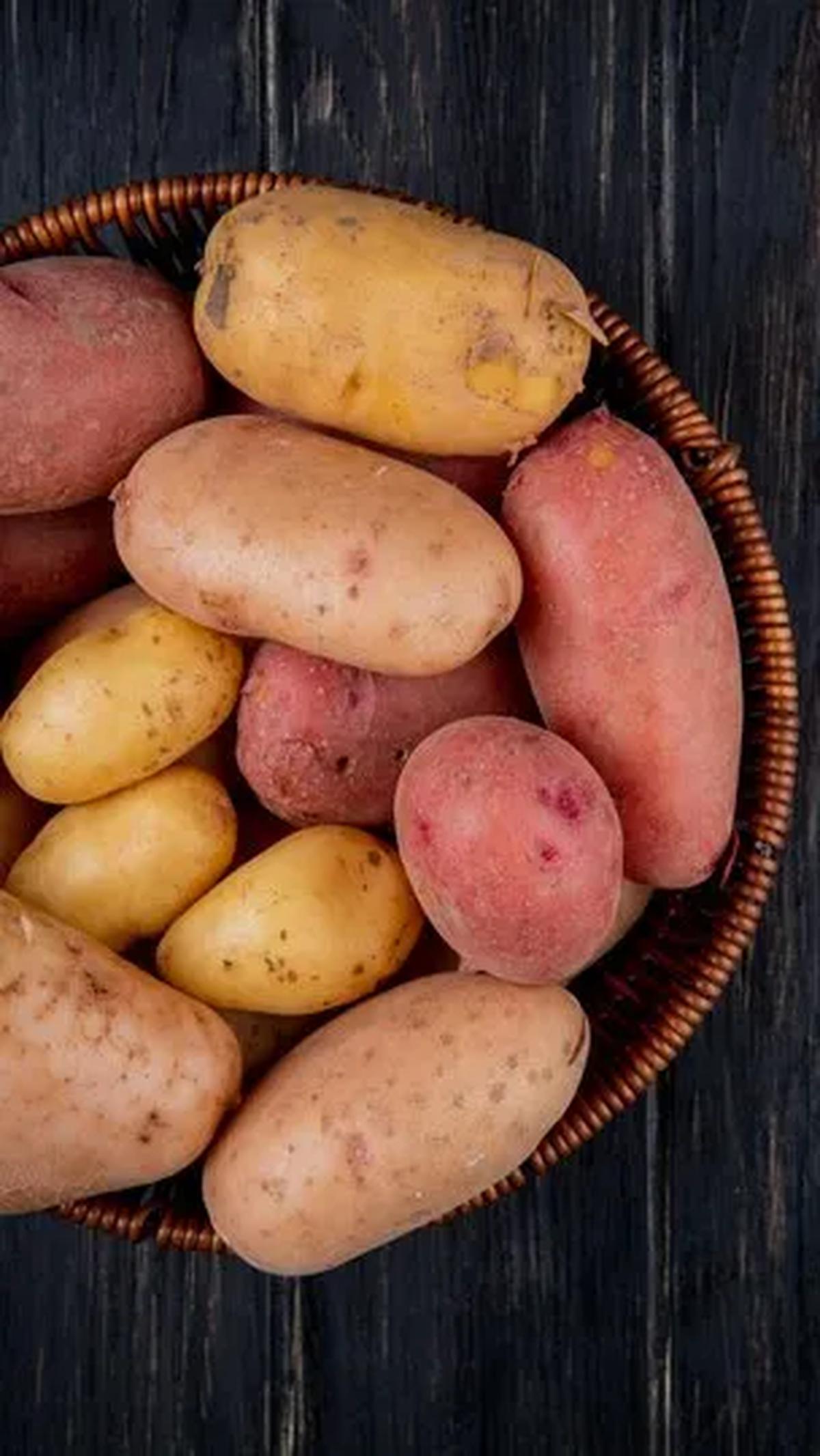 Perbandingan Nutrisi Kentang dan Ubi Jalar