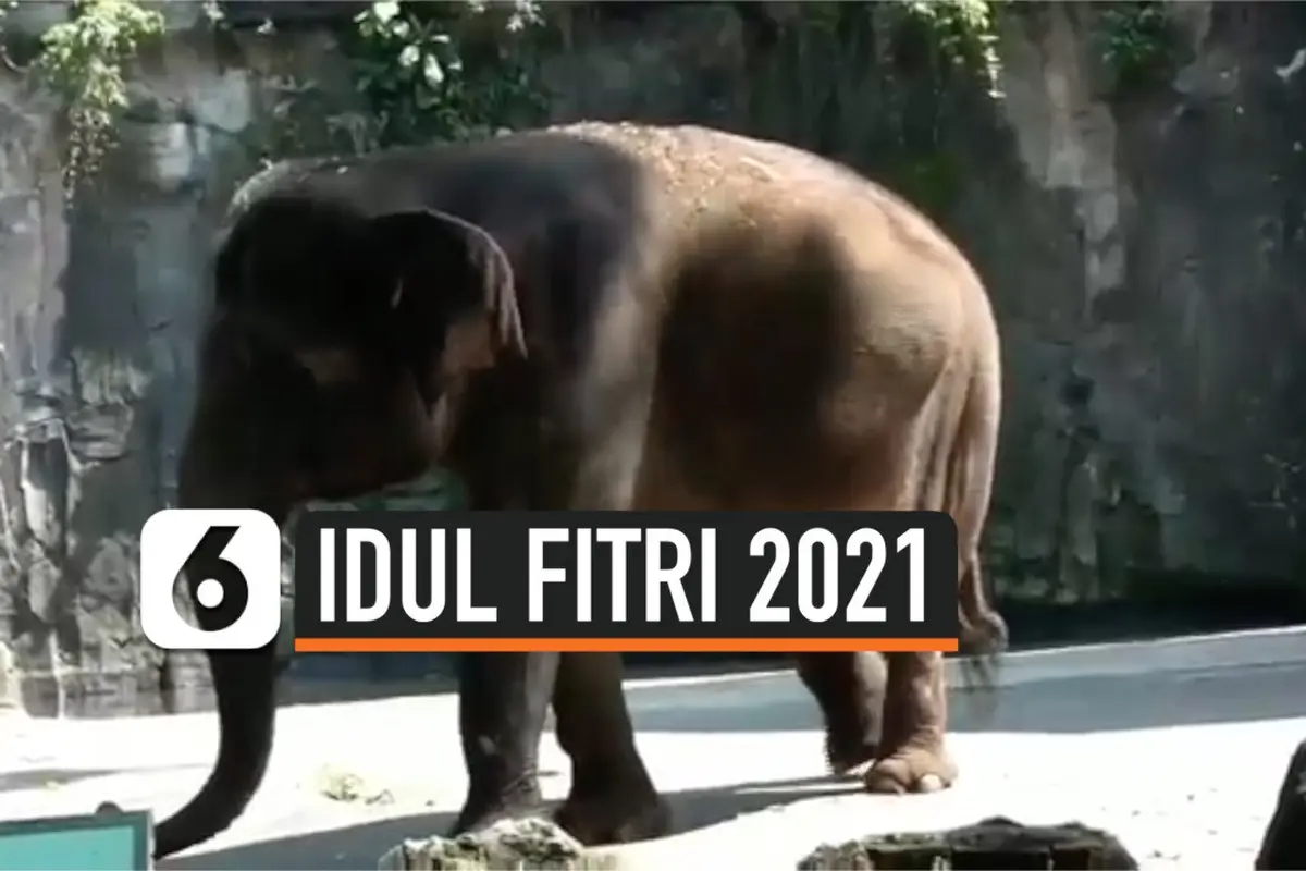 THUMBNAIL RAGUNAN