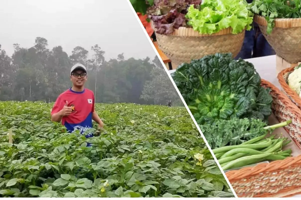 Petani Milenial Kementan BPPSDMP