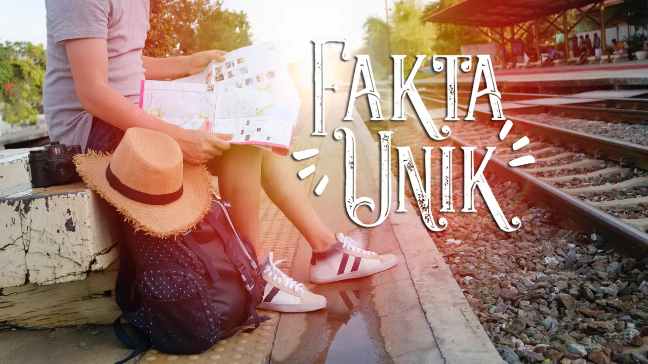[Bintang] Fakta Unik