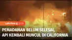 Belum selesai pemadaman kebakaran dahsyat di Los Angeles, Amerika Serikat, kebakaran hutan baru kembali melanda. Sejak Senin malam, kobaran api menerjang kawasan Oxnard, California Selatan, sekitar 89 km barat laut Los Angeles. Lalu apa penyebab keba...