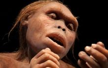 Bukan Homo Sapiens, Ini Manusia Purba Pertama yang Tangannya Terampil Gunakan Alat Sejak 3,2 Juta Tahun Lalu
