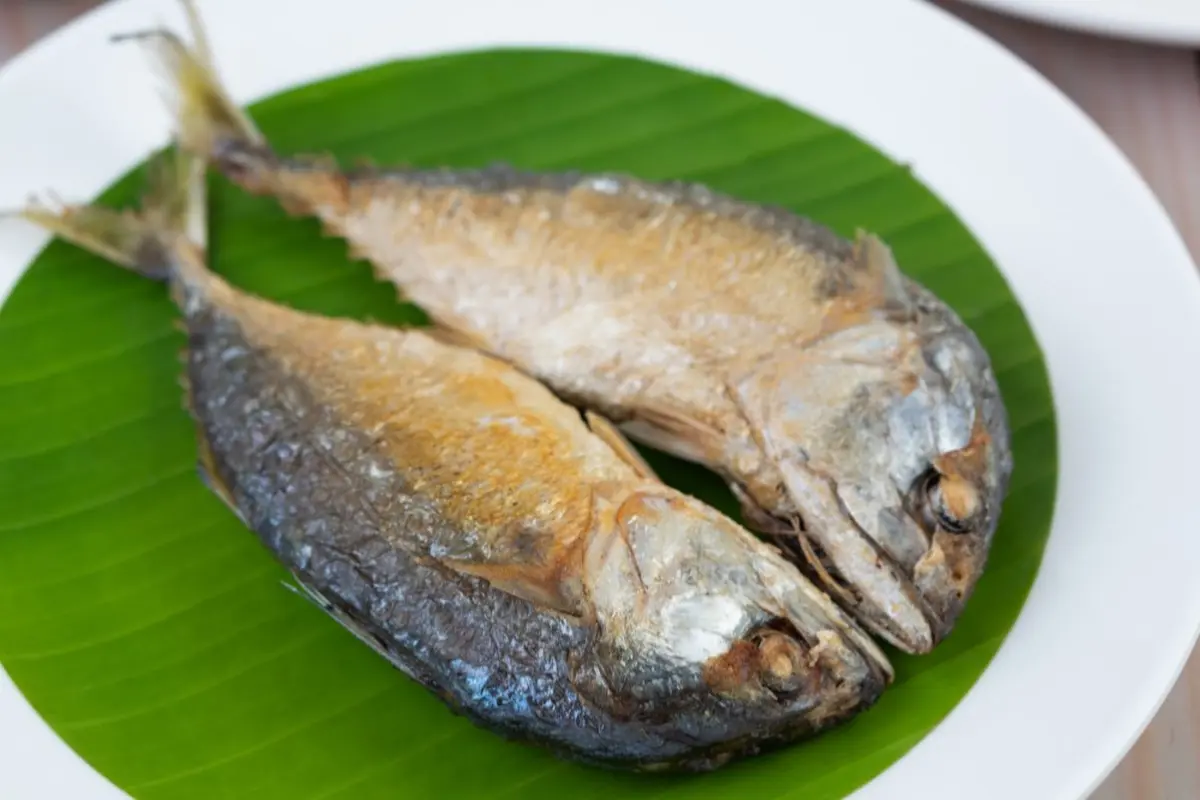 Cara Mengolah Ikan Peda agar Tidak Terlalu Asin dan Tetap Nikmat