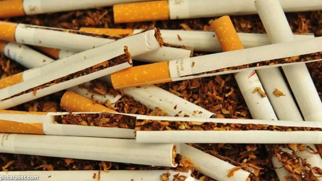 who-rokok-130531b.jpg