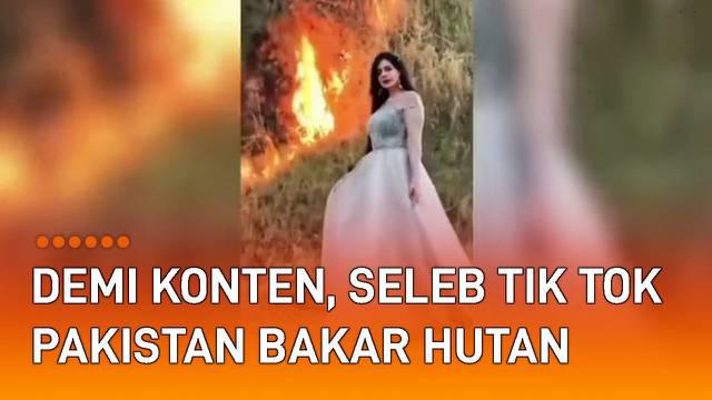Aksi seorang seleb TikTok Pakistan bakar hutan demi konten, viral di media sosial