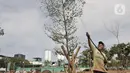 Pekerja menyemprot tanaman saat menyelesaikan proyek revitalisasi Taman Danau Sunter, Jakarta, Senin (9/3/2020). Revitalisasi ini untuk mengubah lahan kosong sekitar Danau Sunter menjadi area pembibitan tanaman, taman interaktif warga, dan destinasi wisata air terpadu. (merdeka.com/Iqbal Nugroho)