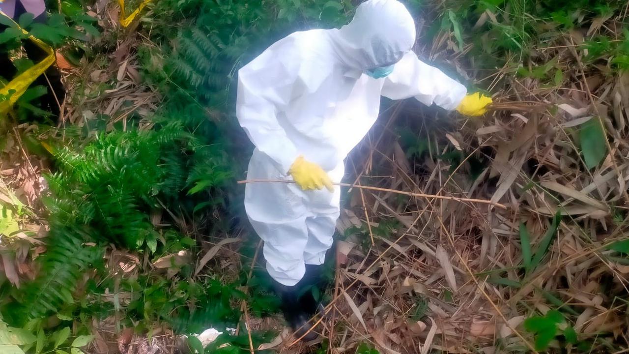 Misteri Mayat Membusuk di Kebun Karet Pesawaran, Tak Ada Identitas Ditemukan