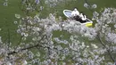 Orang-orang yang memakai masker menikmati mekarnya bunga sakura dari perahu dayung di Tokyo, Senin (29/3/2021). Menyaksikan sakura dari atas perahu dayung sambil menyusuri aliran sungai memberikan pengalaman berbeda. (AP Photo/Koji Sasahara)