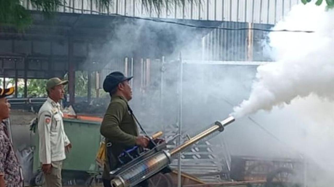 Pencegahan DBD di Pulau Harapan: Pemerintah Gencarkan Pengasapan dan PSN