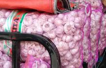 Data BPS Ungkap Indonesia Impor Bawang Putih dari Jerman