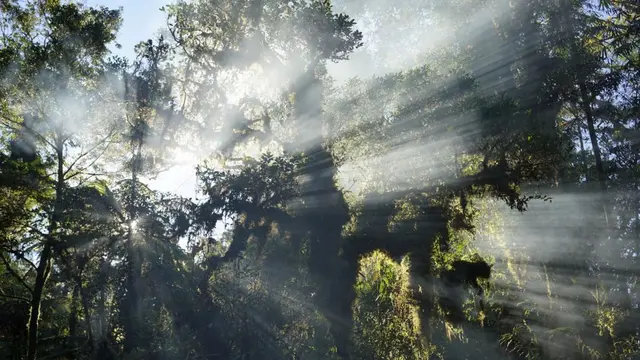 Gunung Binaiya