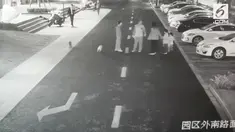 Seorang wanita melindungi anaknya dari kejaran anjing. Tapi, pemilik anjing tidak terima dan memukul wanita tersebut.