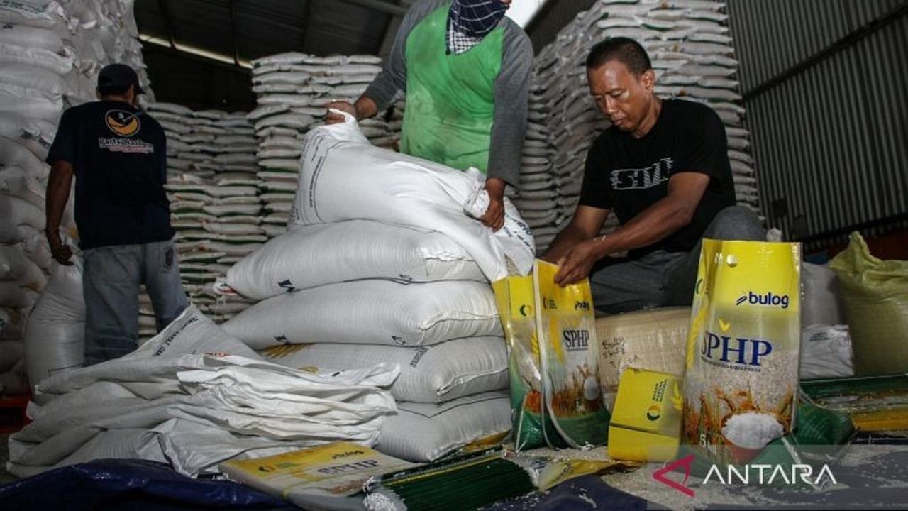 Panen Raya 2026: Ujian Kapasitas Gudang Bulog dan Stabilitas Harga Pangan Nasional
