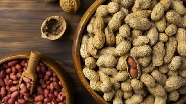 Hama, Penyakit, dan Cara Panen Kacang Tanah