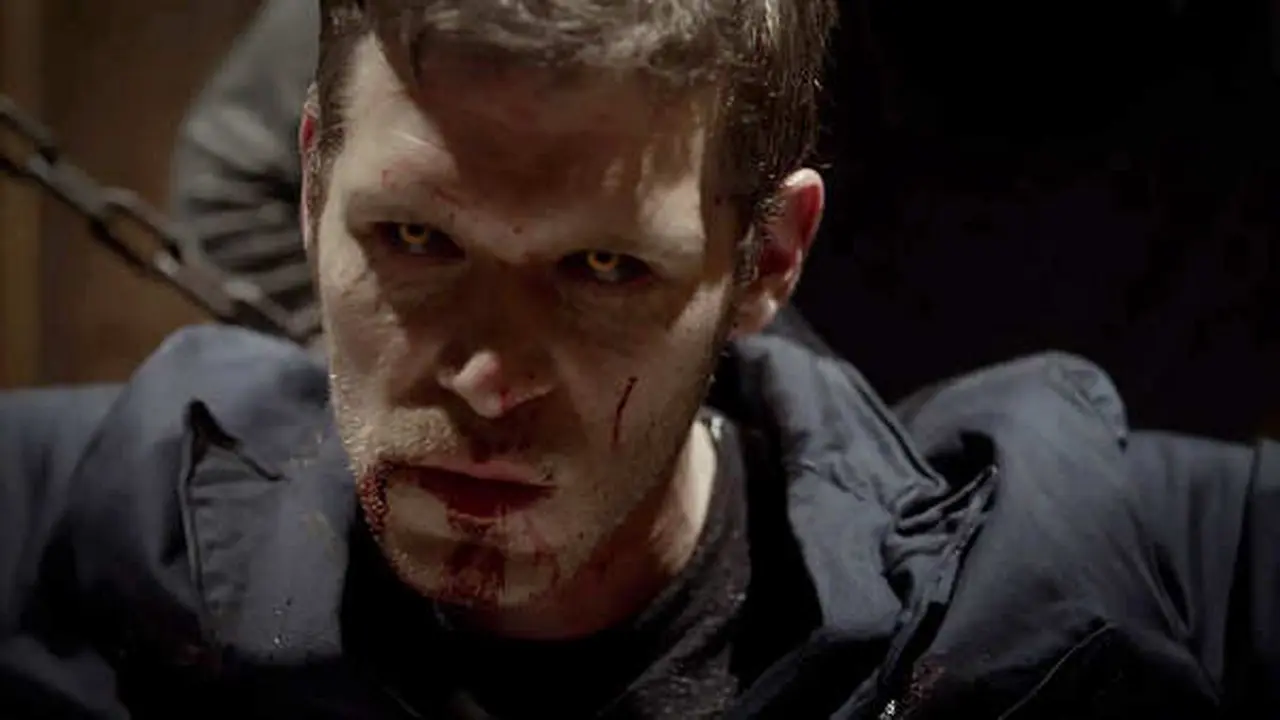 The Originals, Ketika Pecandu Darah Dipaksa Dewasa